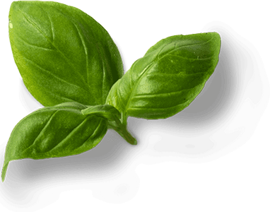 banner ingredient