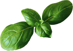 banner ingredient