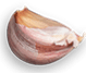 banner pizza item