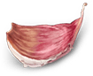 banner item